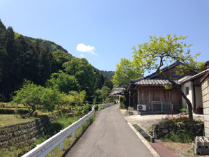 Rustige weg omhoog naar Sankakuji