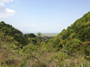 Uitzicht op Saijō-shi