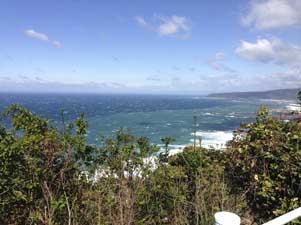Uitzicht op de oceaan en Muroto