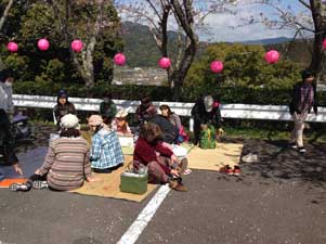 Picknick onder de sakura